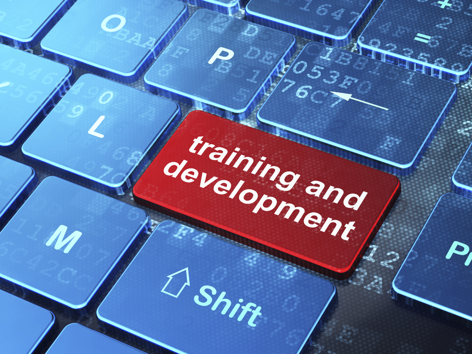 How to Train Yourself for a New Career DM Training